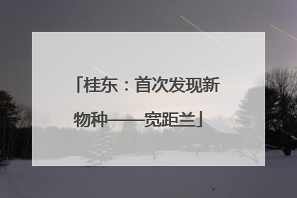 桂东：首次发现新物种——宽距兰