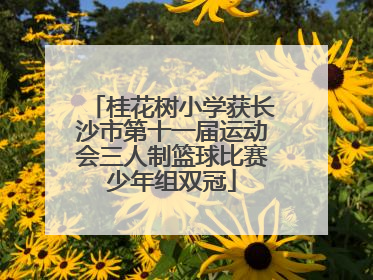 桂花树小学获长沙市第十一届运动会三人制篮球比赛少年组双冠