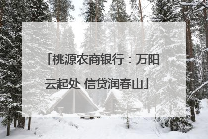 桃源农商银行：万阳云起处 信贷润春山