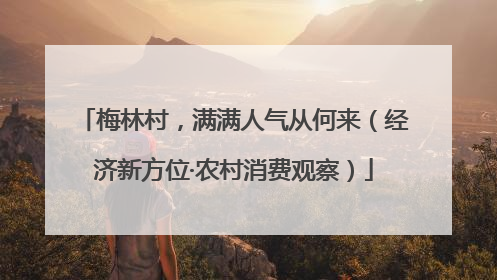 梅林村，满满人气从何来（经济新方位·农村消费观察）