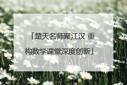 楚天名师聚江汉 重构数学课堂深度创新