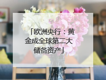 欧洲央行：黄金成全球第二大储备资产