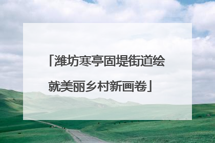 潍坊寒亭固堤街道绘就美丽乡村新画卷