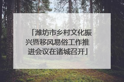 潍坊市乡村文化振兴暨移风易俗工作推进会议在诸城召开