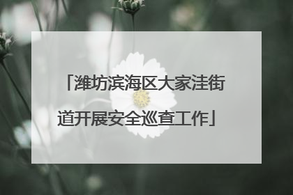 潍坊滨海区大家洼街道开展安全巡查工作