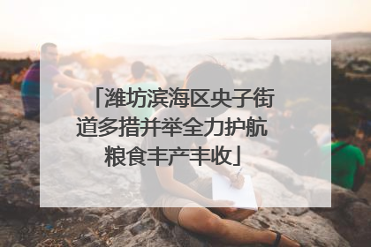 潍坊滨海区央子街道多措并举全力护航粮食丰产丰收