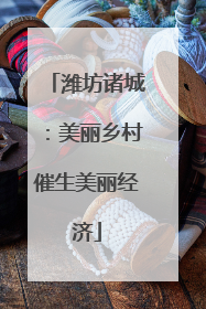 潍坊诸城：美丽乡村催生美丽经济