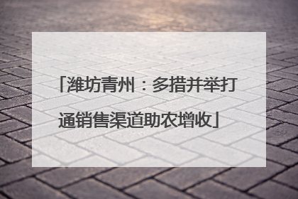 潍坊青州：多措并举打通销售渠道助农增收