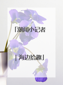 潮闻小记者｜海边拾趣