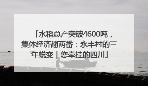 水稻总产突破4600吨，集体经济翻两番：永丰村的三年蜕变｜您牵挂的四川