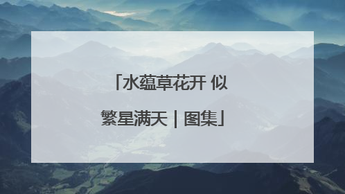 水蕴草花开 似繁星满天｜图集