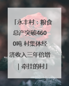 永丰村：粮食总产突破4600吨 村集体经济收入三年倍增｜牵挂的村