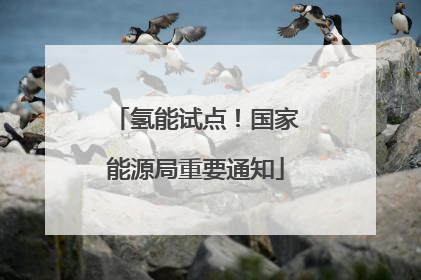 氢能试点！国家能源局重要通知