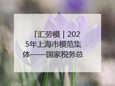 汇劳模｜2025年上海市模范集体——国家税务总局上海市徐汇区税务局第一税务所