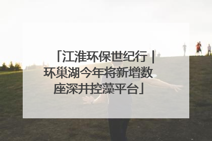 江淮环保世纪行｜环巢湖今年将新增数座深井控藻平台