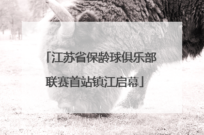 江苏省保龄球俱乐部联赛首站镇江启幕