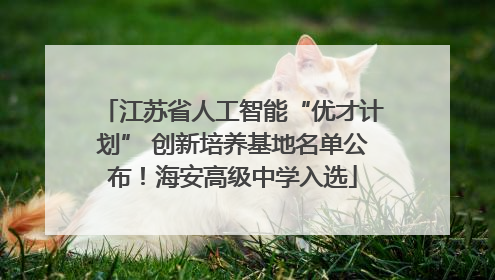 江苏省人工智能“优才计划” 创新培养基地名单公布！海安高级中学入选