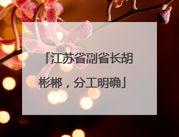 江苏省副省长胡彬郴，分工明确