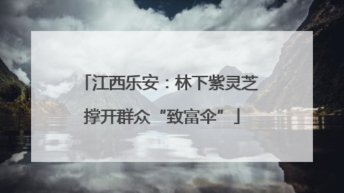 江西乐安：林下紫灵芝撑开群众“致富伞”