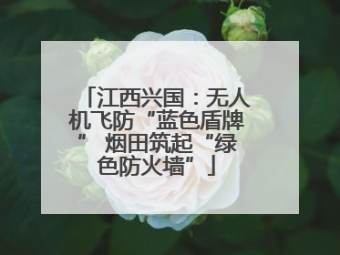 江西兴国：无人机飞防“蓝色盾牌” 烟田筑起“绿色防火墙”