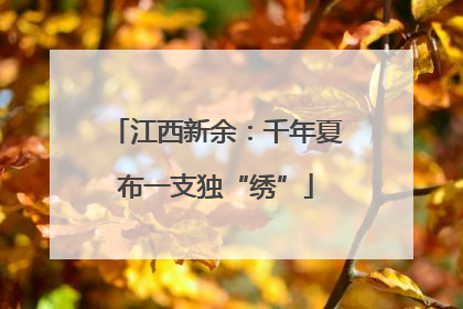 江西新余：千年夏布一支独“绣”