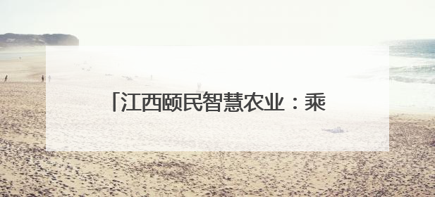 江西颐民智慧农业：乘文博会文化快车，让宁都黄鸡走进千家万户