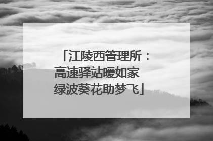 江陵西管理所：高速驿站暖如家 绿波葵花助梦飞