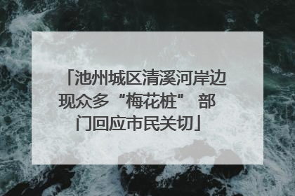 池州城区清溪河岸边现众多“梅花桩” 部门回应市民关切