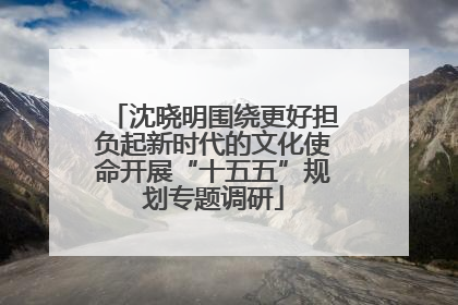 沈晓明围绕更好担负起新时代的文化使命开展“十五五”规划专题调研