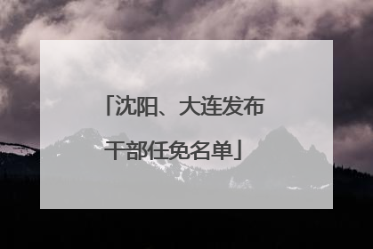 沈阳、大连发布干部任免名单