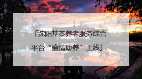 沈阳基本养老服务综合平台“盛情康养”上线