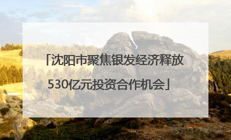 沈阳市聚焦银发经济释放530亿元投资合作机会
