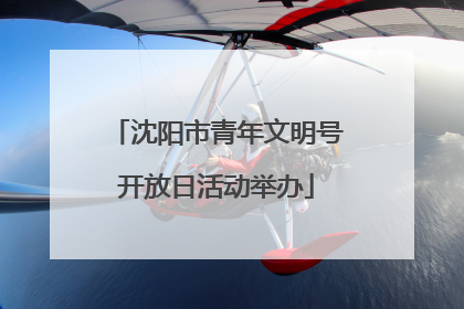 沈阳市青年文明号开放日活动举办