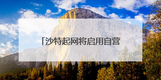 沙特起网将启用自营模式？京东物流回应