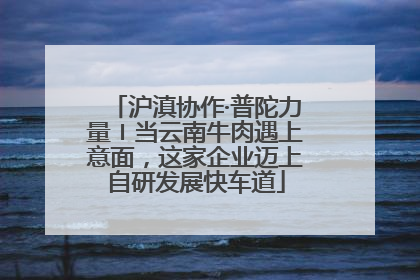 沪滇协作·普陀力量〡当云南牛肉遇上意面，这家企业迈上自研发展快车道