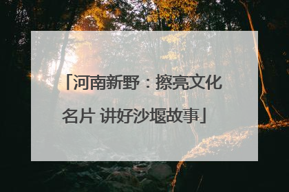 河南新野：擦亮文化名片 讲好沙堰故事