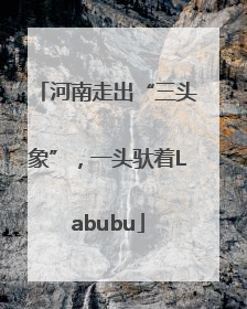 河南走出“三头象”，一头驮着Labubu