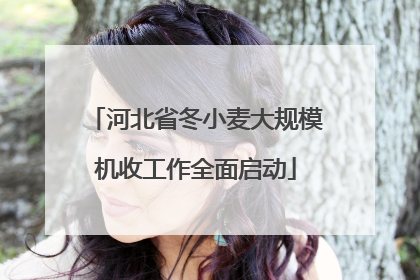 河北省冬小麦大规模机收工作全面启动