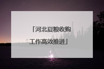 河北夏粮收购工作高效推进