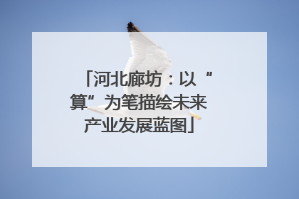 河北廊坊：以“算”为笔描绘未来产业发展蓝图