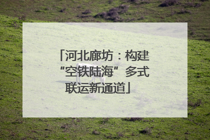 河北廊坊：构建“空铁陆海”多式联运新通道