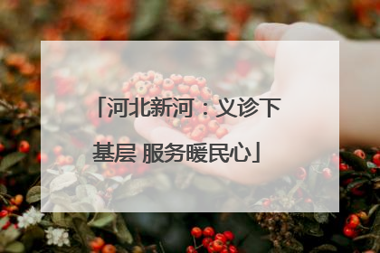河北新河：义诊下基层 服务暖民心