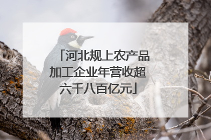 河北规上农产品加工企业年营收超六千八百亿元