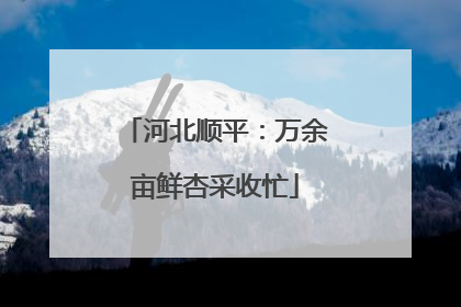 河北顺平：万余亩鲜杏采收忙
