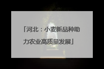 河北：小麦新品种助力农业高质量发展