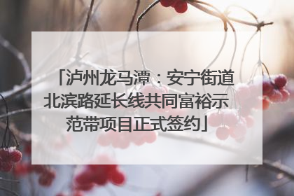 泸州龙马潭：安宁街道北滨路延长线共同富裕示范带项目正式签约