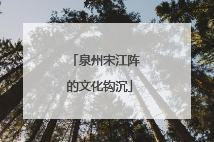泉州宋江阵的文化钩沉