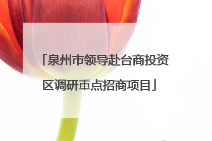 泉州市领导赴台商投资区调研重点招商项目