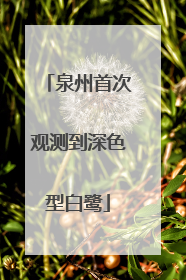 泉州首次观测到深色型白鹭