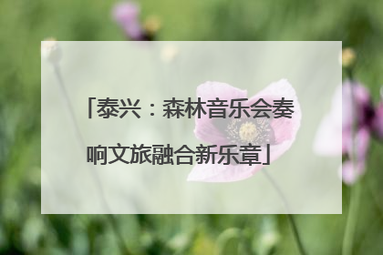 泰兴：森林音乐会奏响文旅融合新乐章